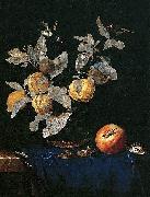 Aelst, Willem van with Fruit oil painting reproduction